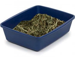 Rabbit litterbox, with hay on top