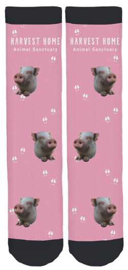unnamedBIUU8HO4