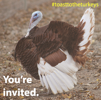 Toast To The Turkeys 2013