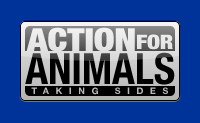 action_for_animals