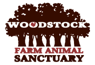 woodstockB