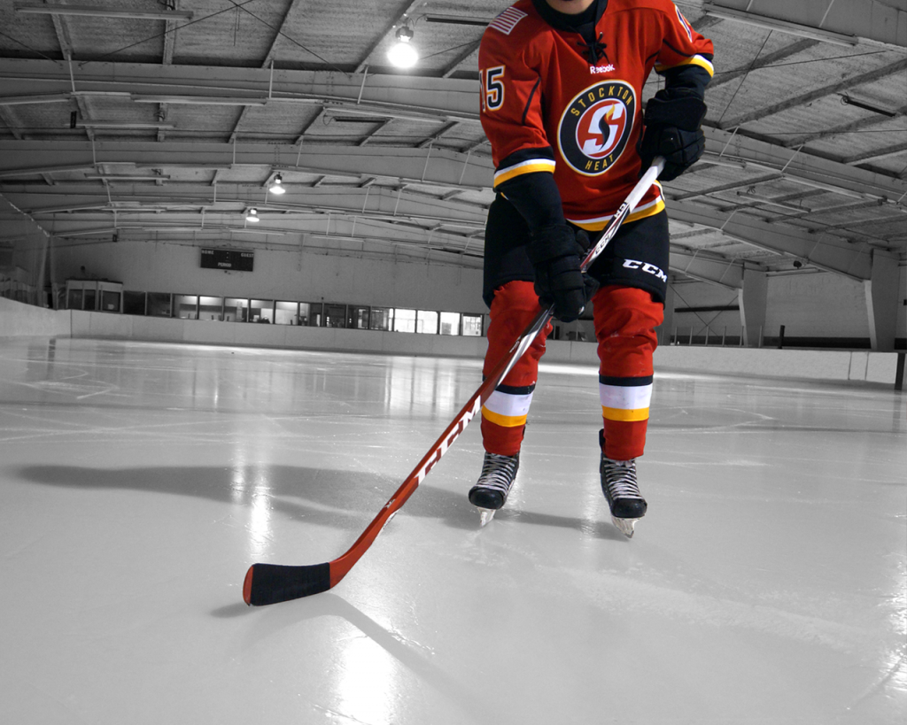 Hockey for Harvest Home November 21st Harvest Home Animal Sanctuary