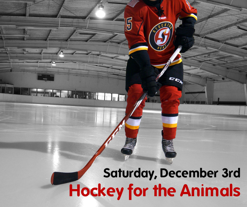 hockey-for-the-animals