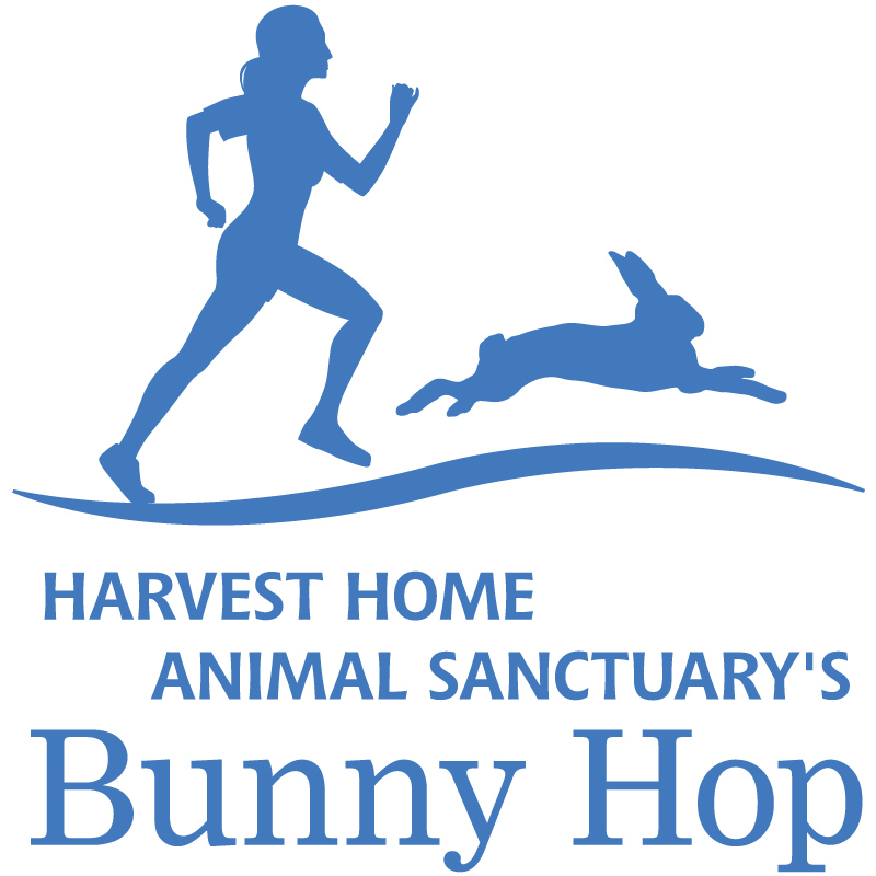 HH_BunnyHop_Logo_Blue_Large
